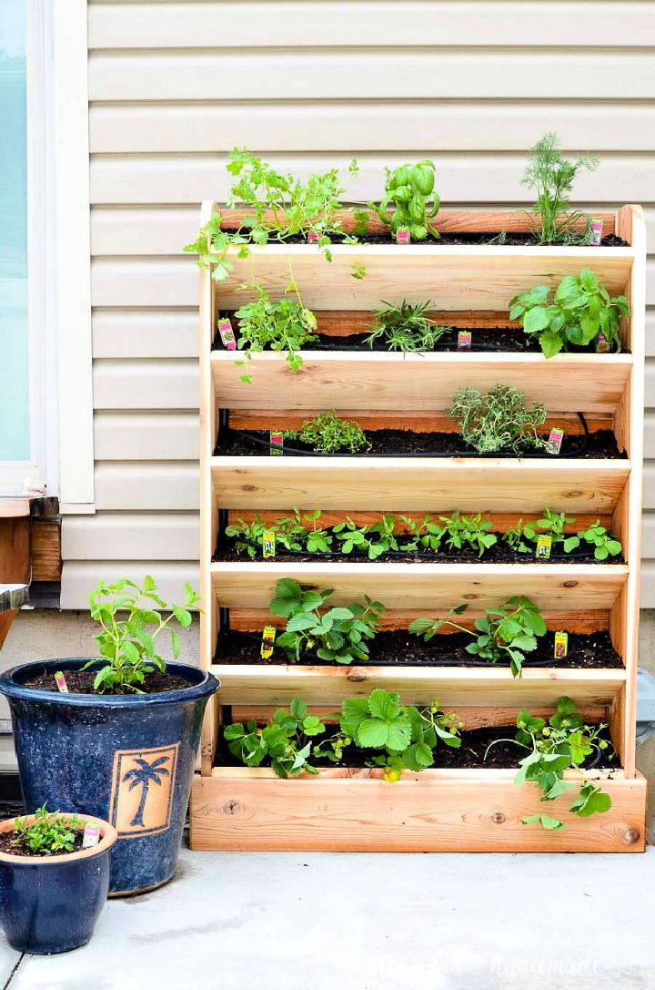 20 DIY Herb Garden Ideas to Grow in Your Home The Beauty Dojo