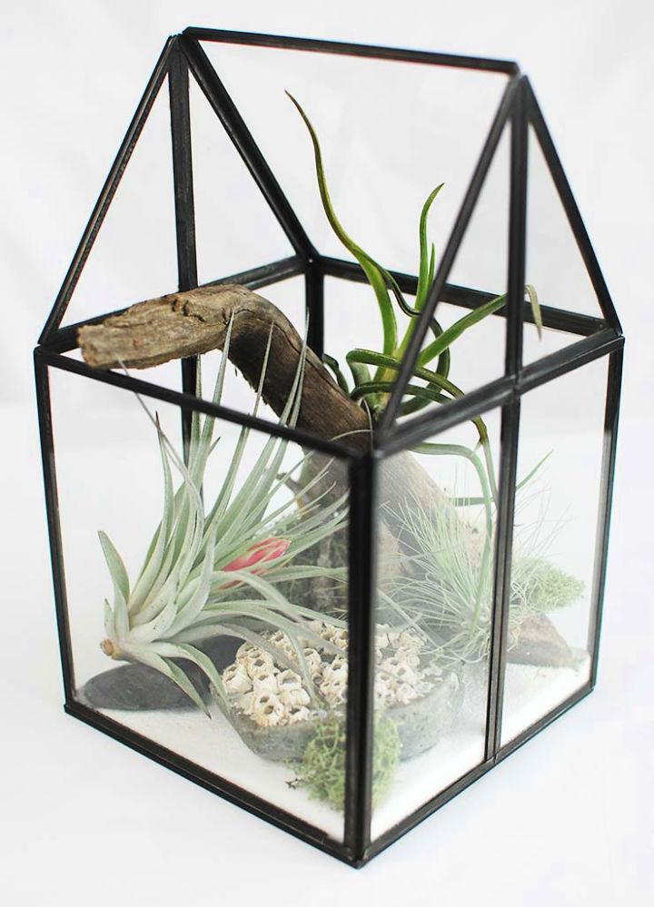 30 Cool DIY Terrarium Ideas Anyone Can Make Cheaply The Beauty Dojo