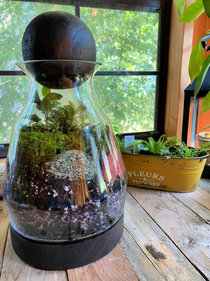 30 Cool DIY Terrarium Ideas Anyone Can Make Cheaply The Beauty Dojo